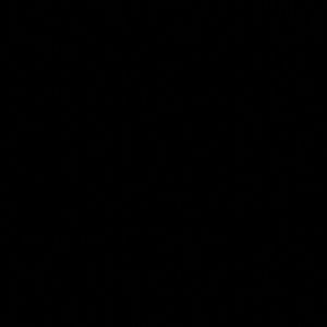 Meet your Posher, Misty