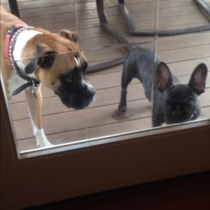 Meet your Posher, Tina