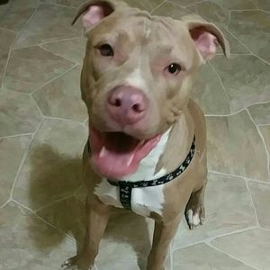 Meet your Posher, Britany