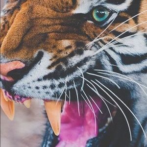 Meet your Posher, Kaylee