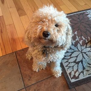 Meet your Posher, Lori