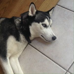 Meet your Posher, Mary kate