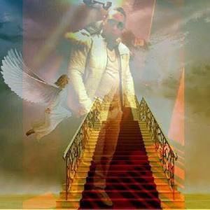 Meet your Posher, Nellie