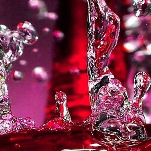 Meet your Posher, Mae