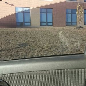 Meet your Posher, Karrene