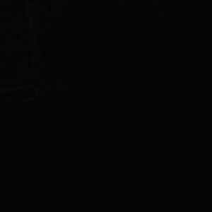 Meet your Posher, Kelli