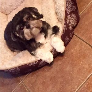 Meet your Posher, Kelsey