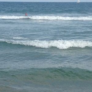 Meet your Posher, Bernadette