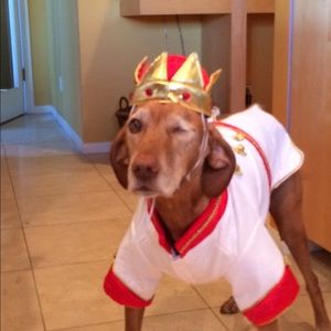 Meet your Posher, Joyce