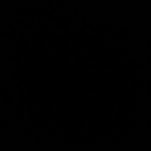 Meet your Posher, Camron