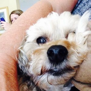 Meet your Posher, Martha