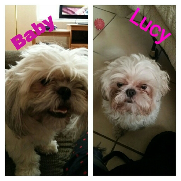 Meet your Posher, Nallely - Picture 2 of 2