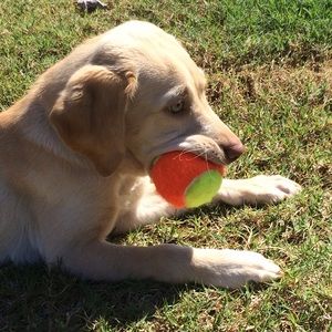 Meet your Posher, Brittany