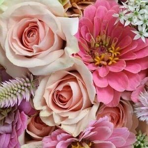 Meet your Posher, Debbie