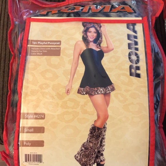 Playful pussycat costume