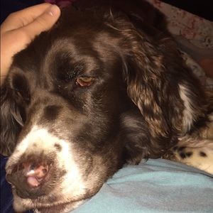 Meet your Posher, Morgan