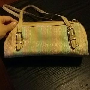 Fossil purse