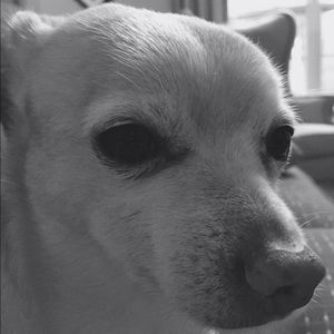 Meet your Posher, Sue