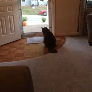 Meet your Posher, Holly