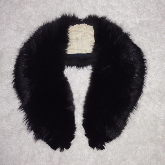 Genuine Black Fox Fur Collar 🌰🐕