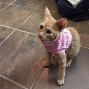 Meet your Posher, Jane