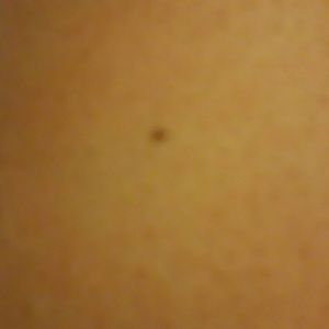 Meet your Posher, Kerin