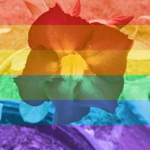 Meet your Posher, Juana