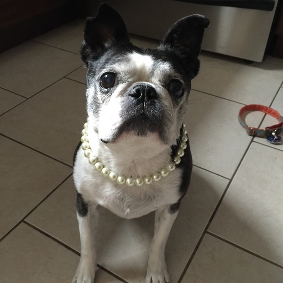 Meet your posher! - Picture 3 of 3