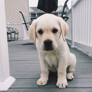 Meet your Posher, Christine