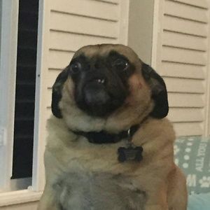 Meet your Posher, Elisa