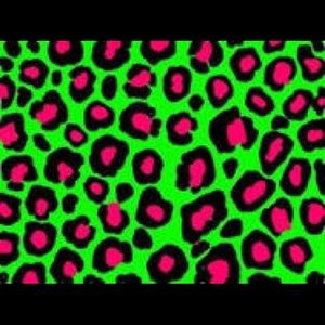 Meet your Posher, Talena