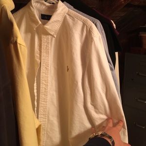 Large polo Oxford button up