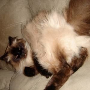 Meet your Posher, Gary