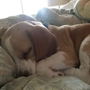 Meet your Posher, Meghan