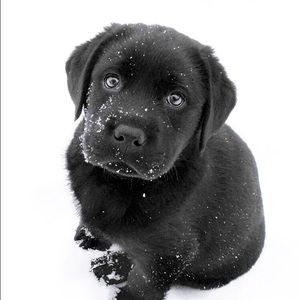 Meet your Posher, Jon