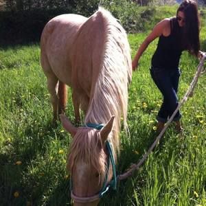 Meet your Posher, Dawn