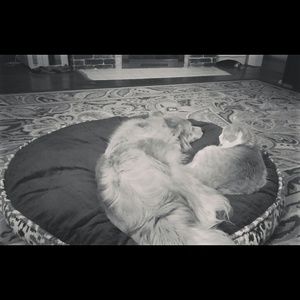 Meet your Posher, Heidi