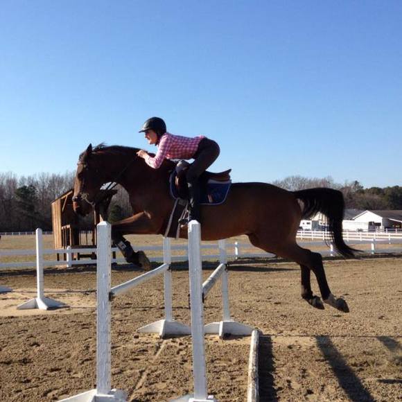 Meet your Posher, Sami - Picture 1 of 1