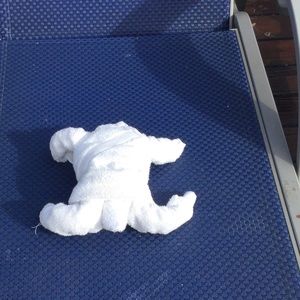 Meet your Posher, Tina