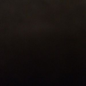 Meet your Posher, Falyn