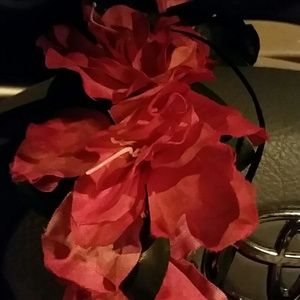 Meet your Posher, Tish