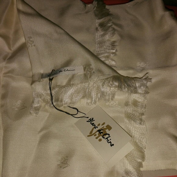 Silk Scarf - Picture 3 of 3