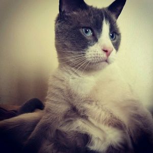 Meet your Posher, Esther