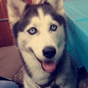 Meet your Posher, Joanna