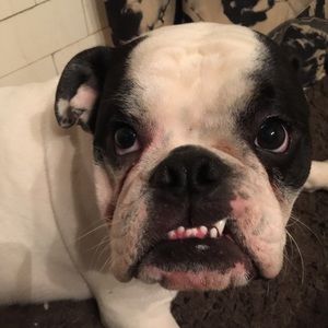 Meet your Posher, Lori