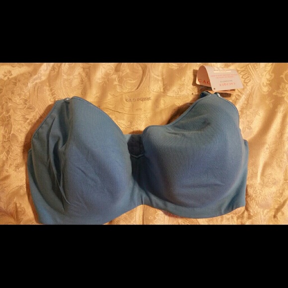 Lane Bryant, blue balconette bra,40DD