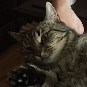 Meet your Posher, Linda