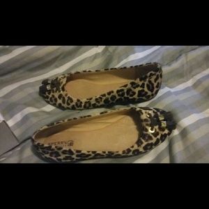 Sperry flats