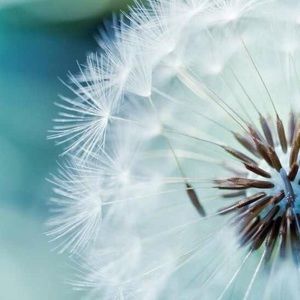 Meet your Posher, Mairead