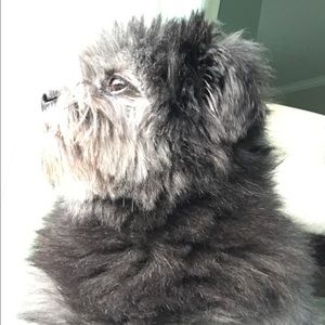 Meet your Posher, Ian